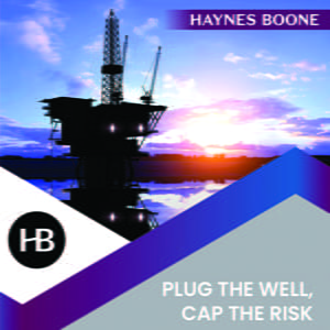 plug the well cap the risk limit your liability