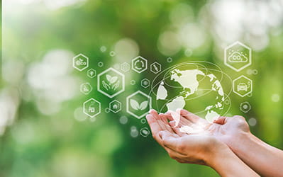 Environmental Perspective